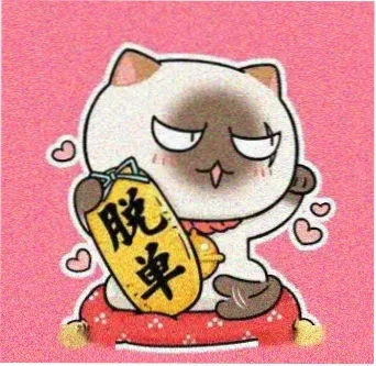 动漫迷小柯